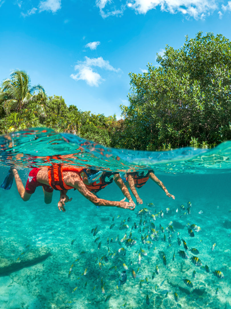 Xcaret Basic – Explore Riviera Maya’s Most Iconic Eco Park