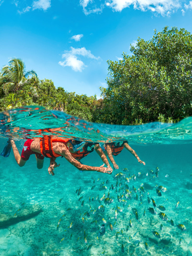 Xcaret Basic – Explore Riviera Maya’s Most Iconic Eco Park