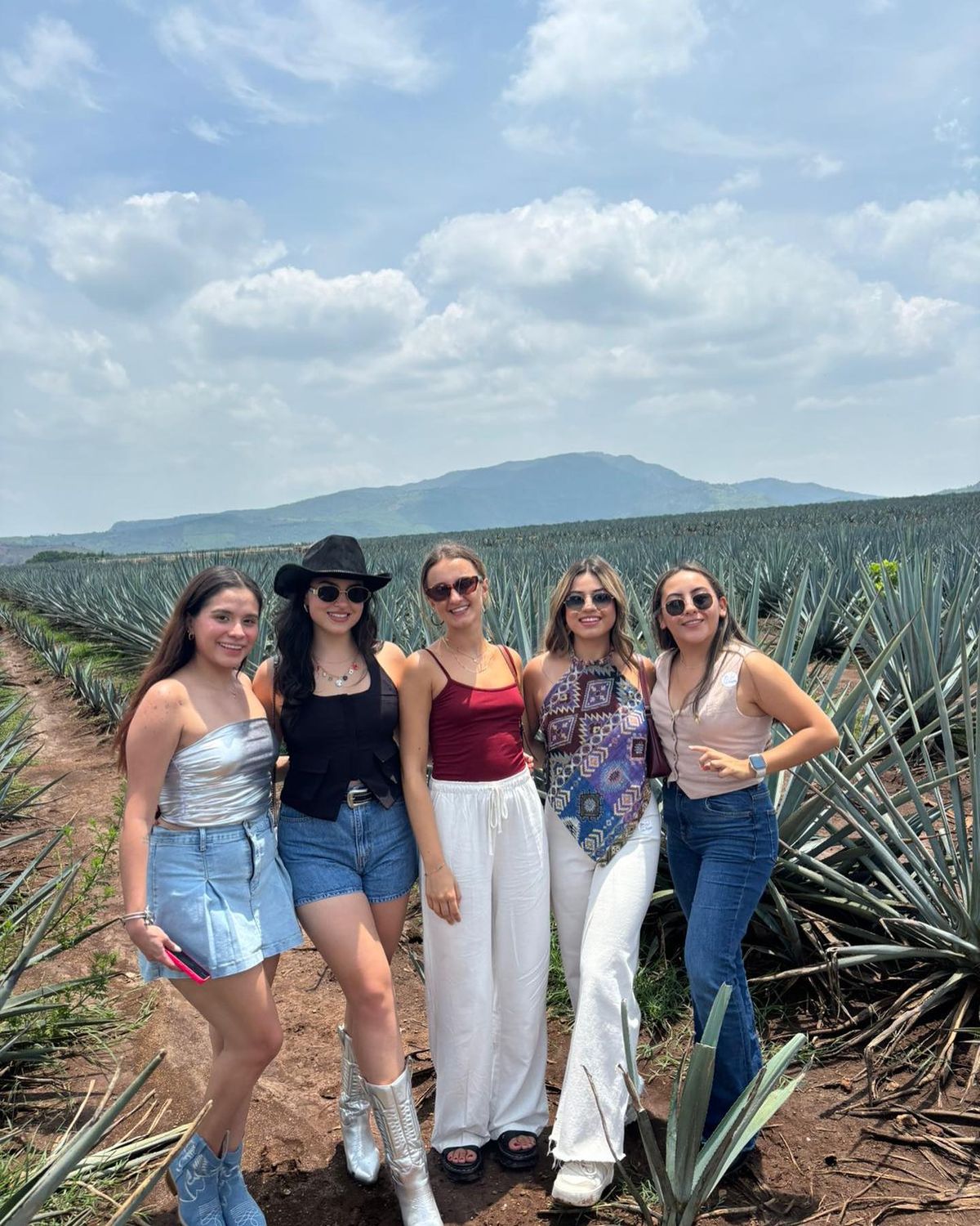 Tequila Tour – Agave Fields & Distillery Tasting