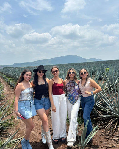 Tequila Tour – Agave Fields & Distillery Tasting