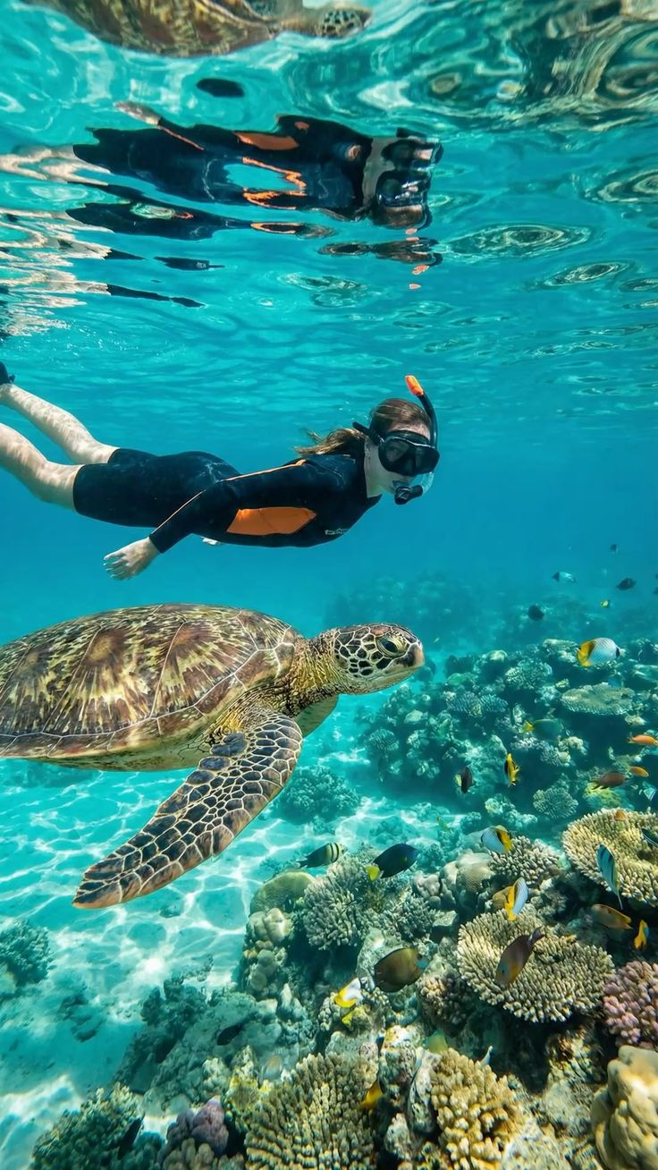 Tulum, Akumal & Cenotes Tour – Mayan Ruins, Turtles and Cenote Swim