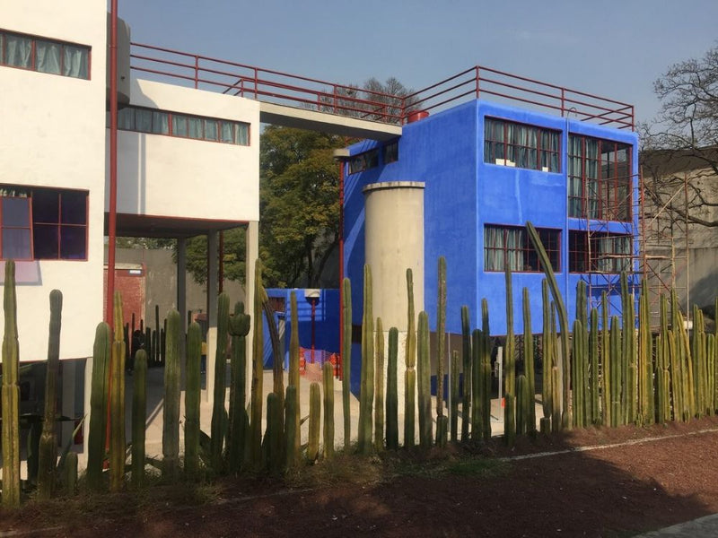 Frida Kahlo &amp; Diego Rivera Studio House Tour – Explore the Iconic Artists' Home and Studio in Mexico City 