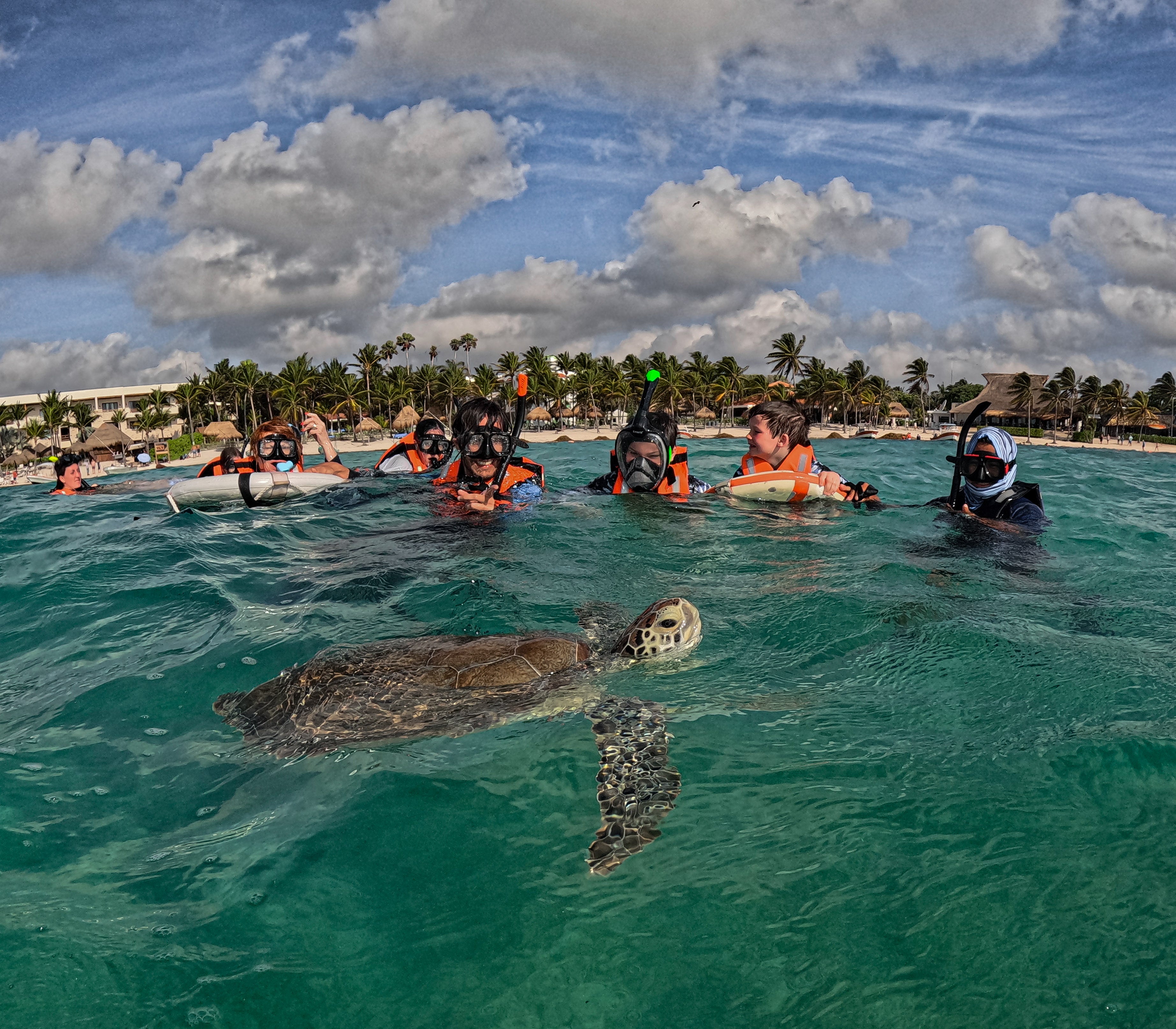 Snorkel Discovery Tour – Turtles and Cenotes Adventure