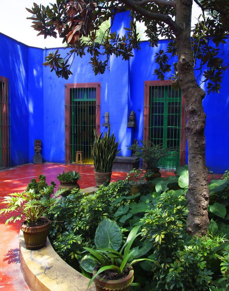 Frida Kahlo Museum (Casa Azul) Admission + Expert Guided Visit – Explore the Life &amp; Art of Frida Kahlo