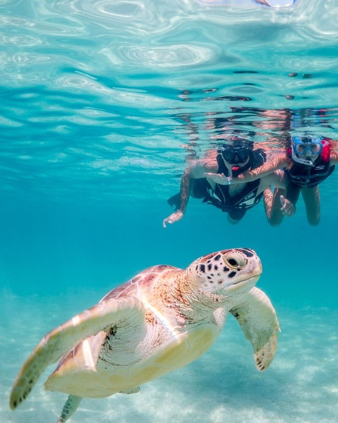 Tulum, Akumal & Cenotes Tour – Mayan Ruins, Turtles and Cenote Swim