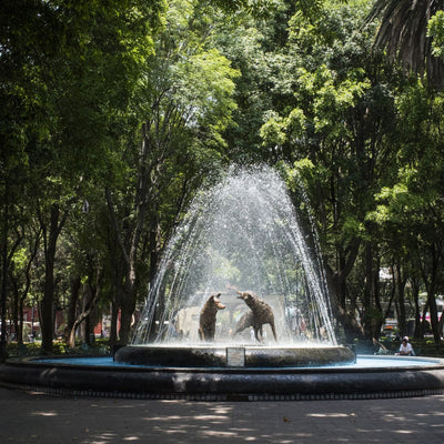 Coyoacan Private Food Tour – Discover Traditional Mexican Flavors in a Historic Neighborhood